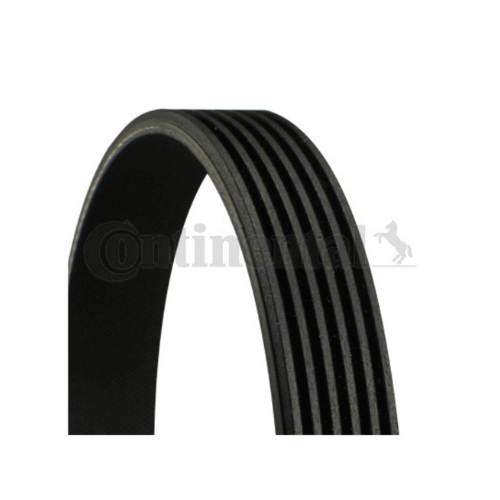 2019 and Up 2.1 Mercedes Benz Sprinter Drive Belt (6pk2215) 0029933296